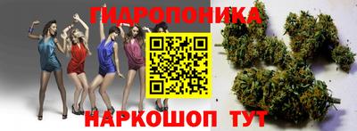 сатива Заволжье