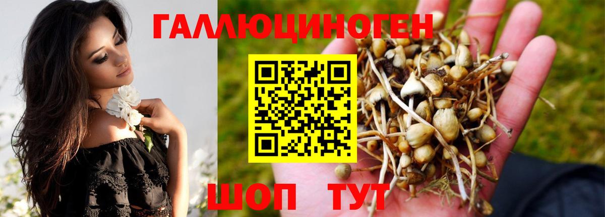 Галлюциногенные грибы прущие грибы Люберцы